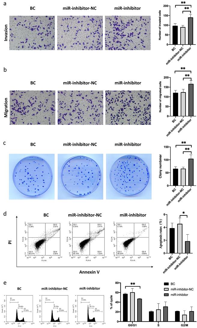J Cancer Image