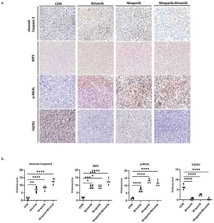 J Cancer Image