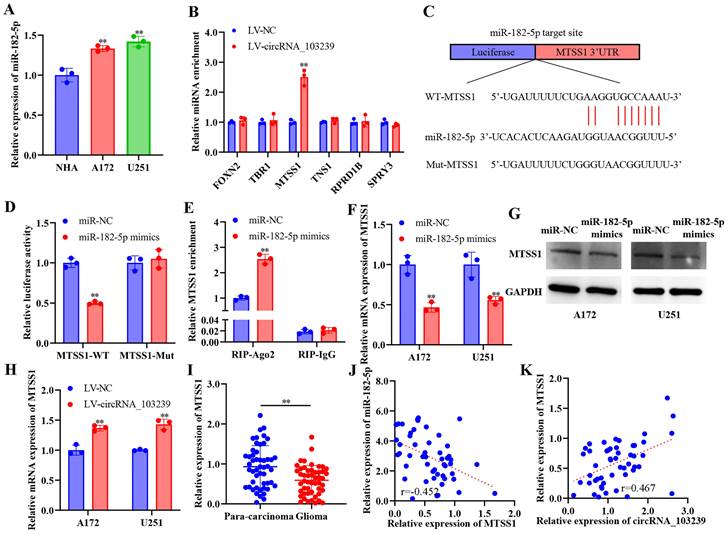 J Cancer Image