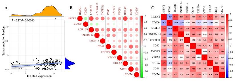 J Cancer Image