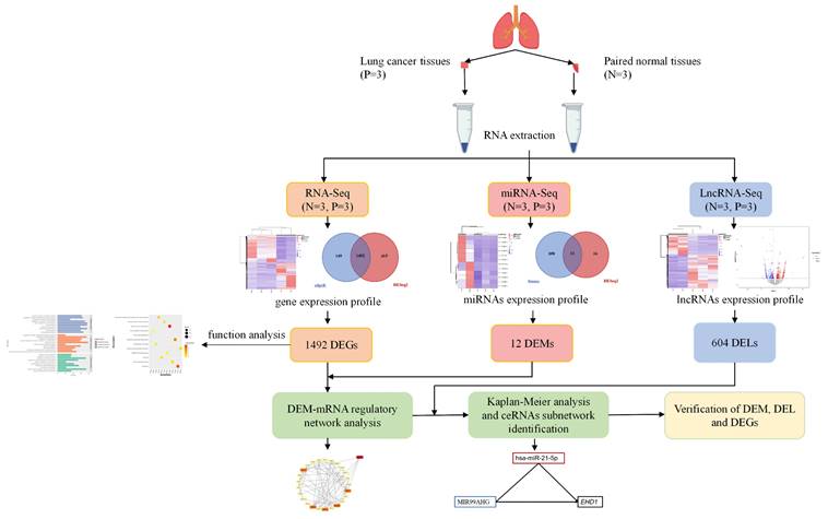 J Cancer Image