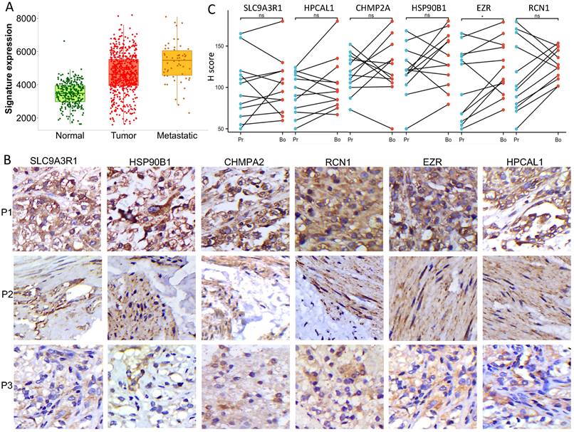 J Cancer Image