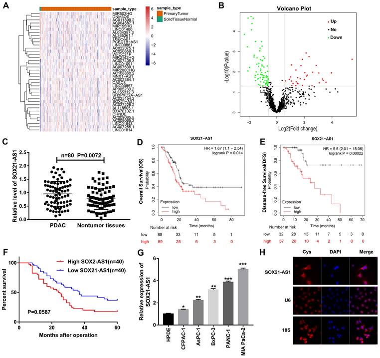 J Cancer Image