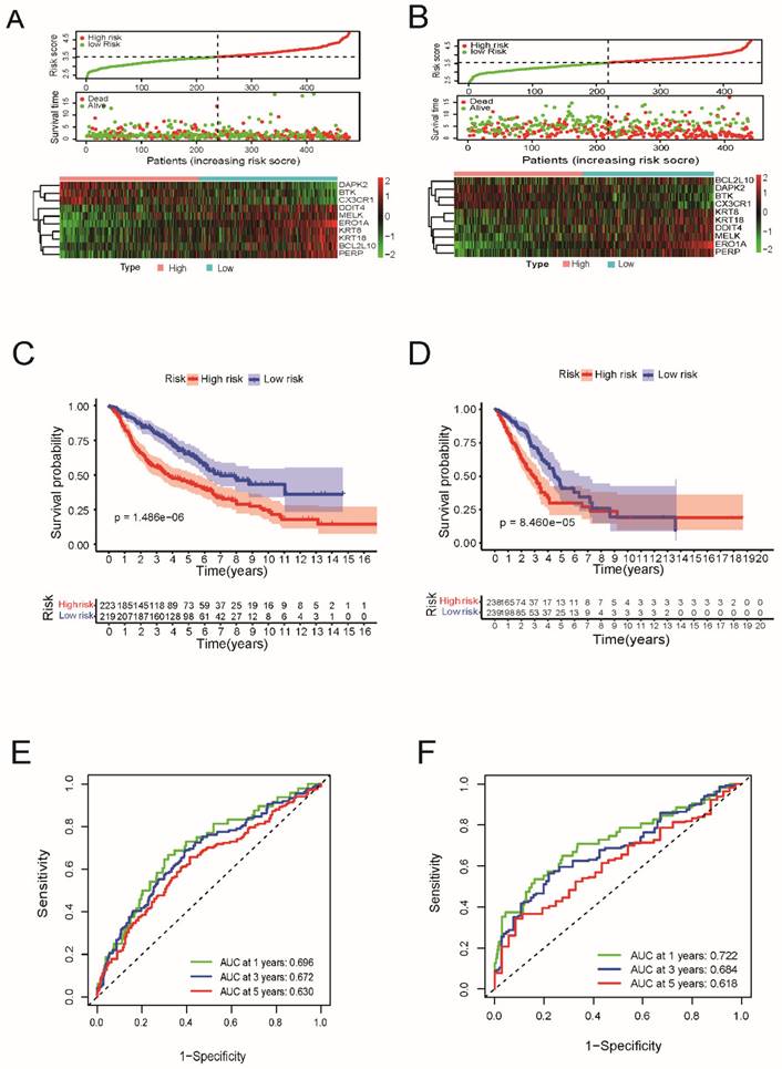 J Cancer Image
