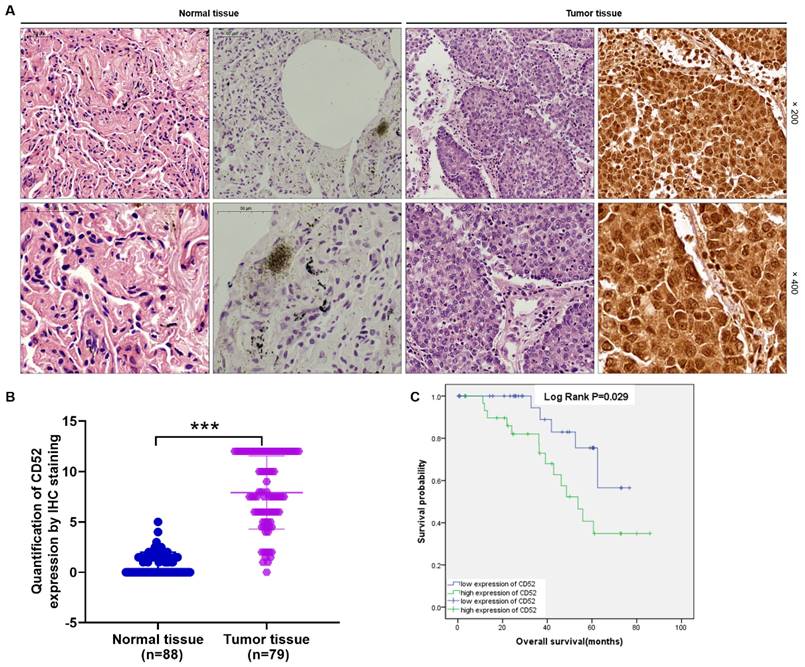 J Cancer Image