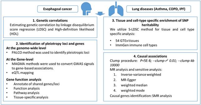 J Cancer Image