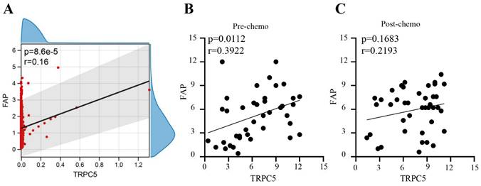 J Cancer Image