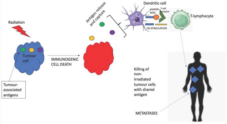 J Cancer Image
