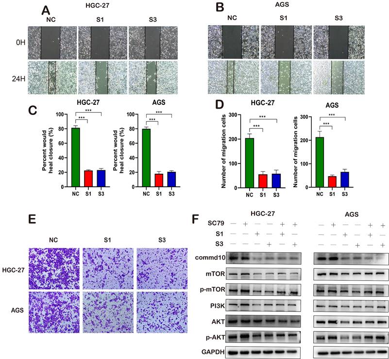 J Cancer Image