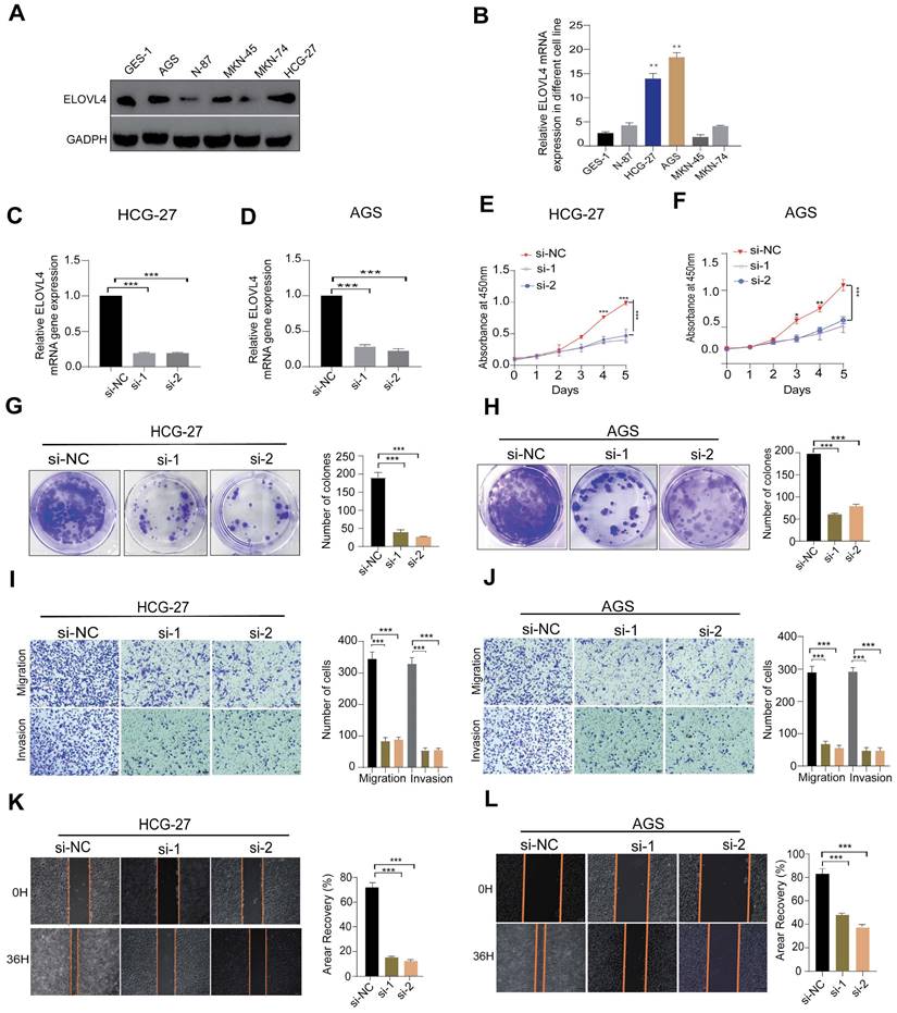 J Cancer Image