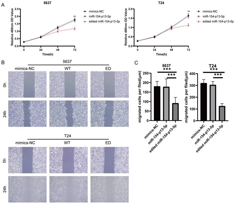 J Cancer Image