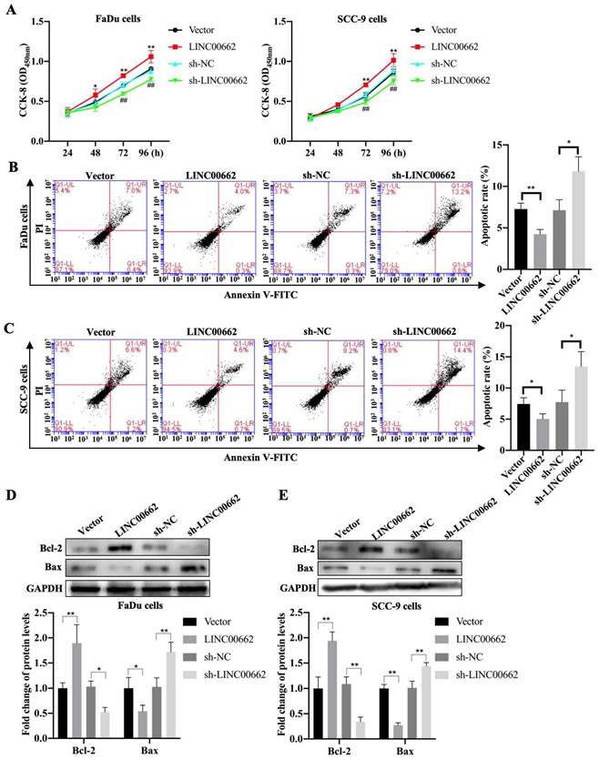 J Cancer Image