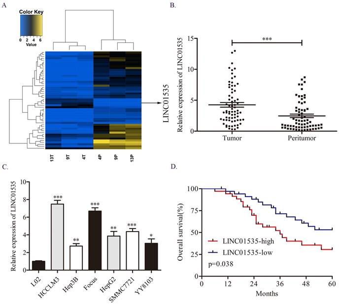 J Cancer Image