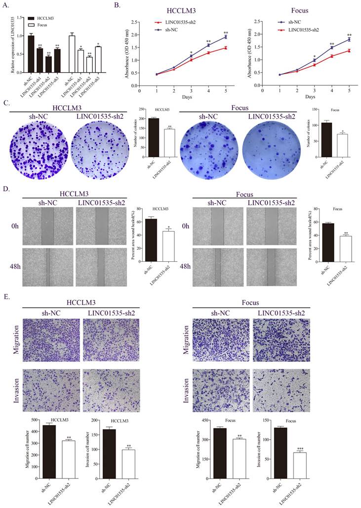 J Cancer Image
