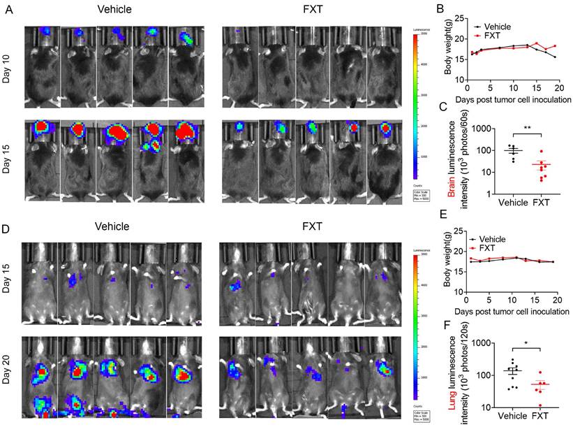 J Cancer Image