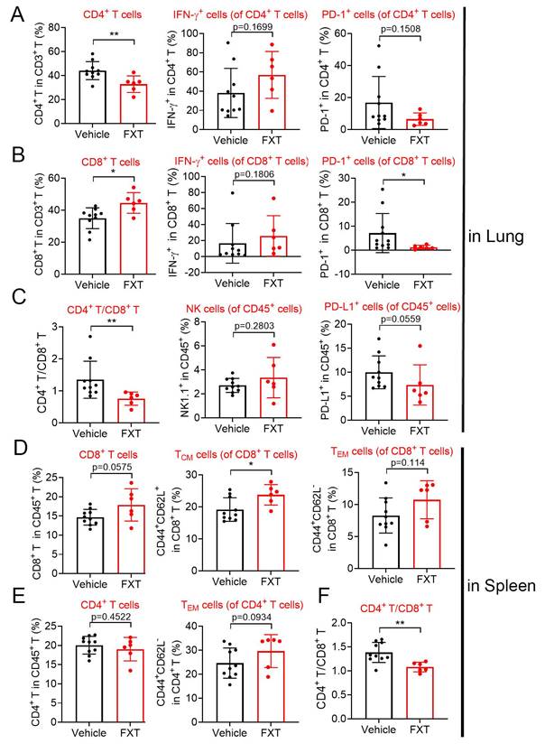 J Cancer Image