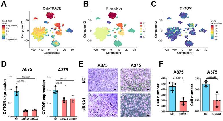 J Cancer Image
