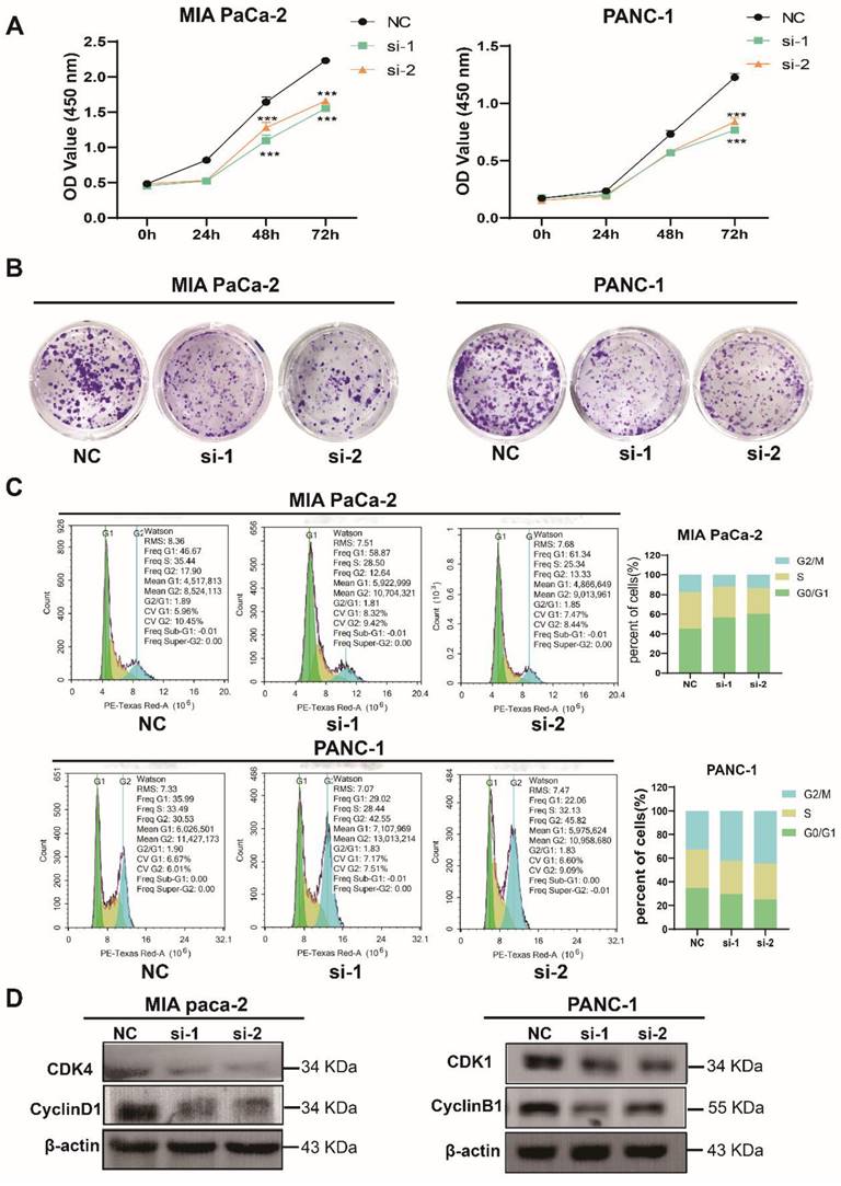 J Cancer Image