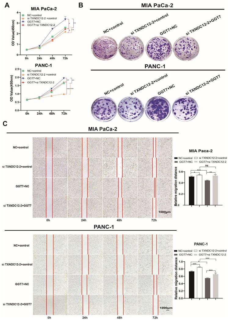 J Cancer Image