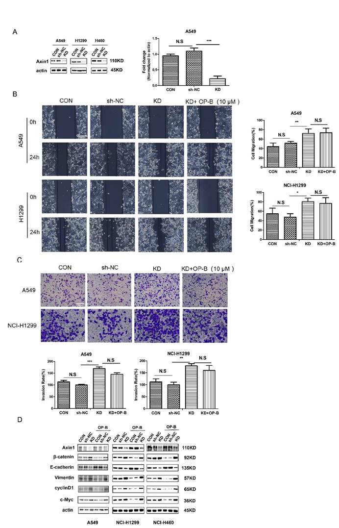 J Cancer Image