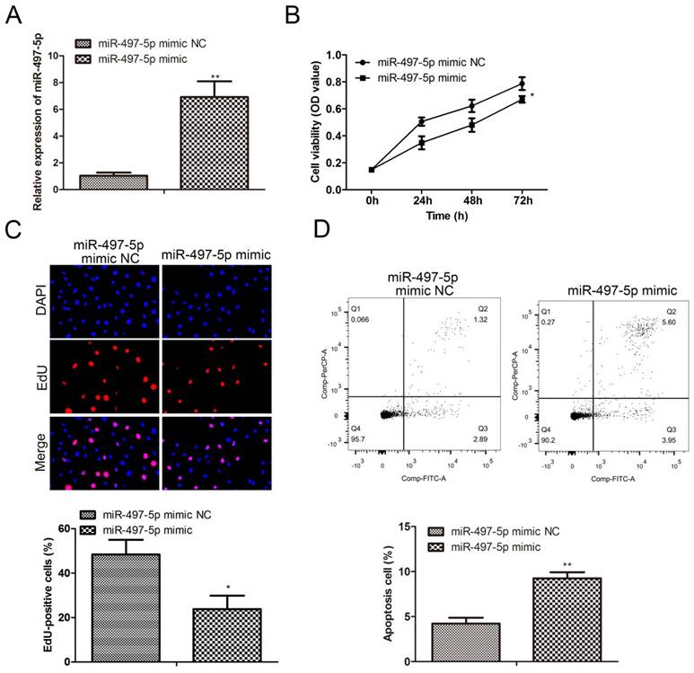 J Cancer Image