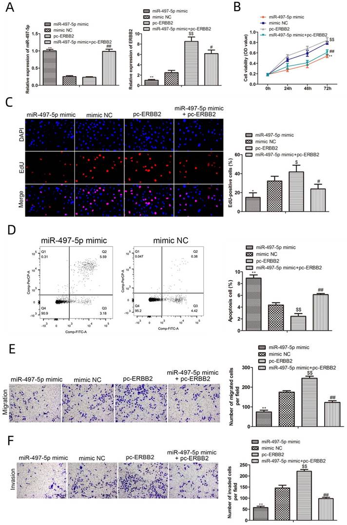 J Cancer Image