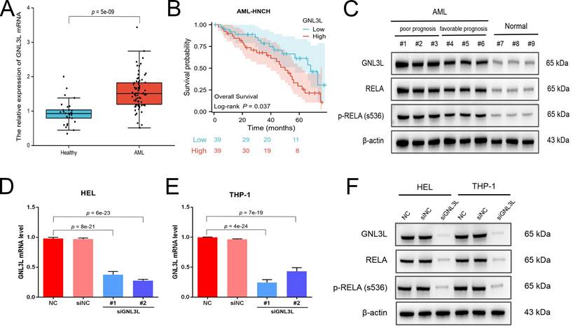J Cancer Image