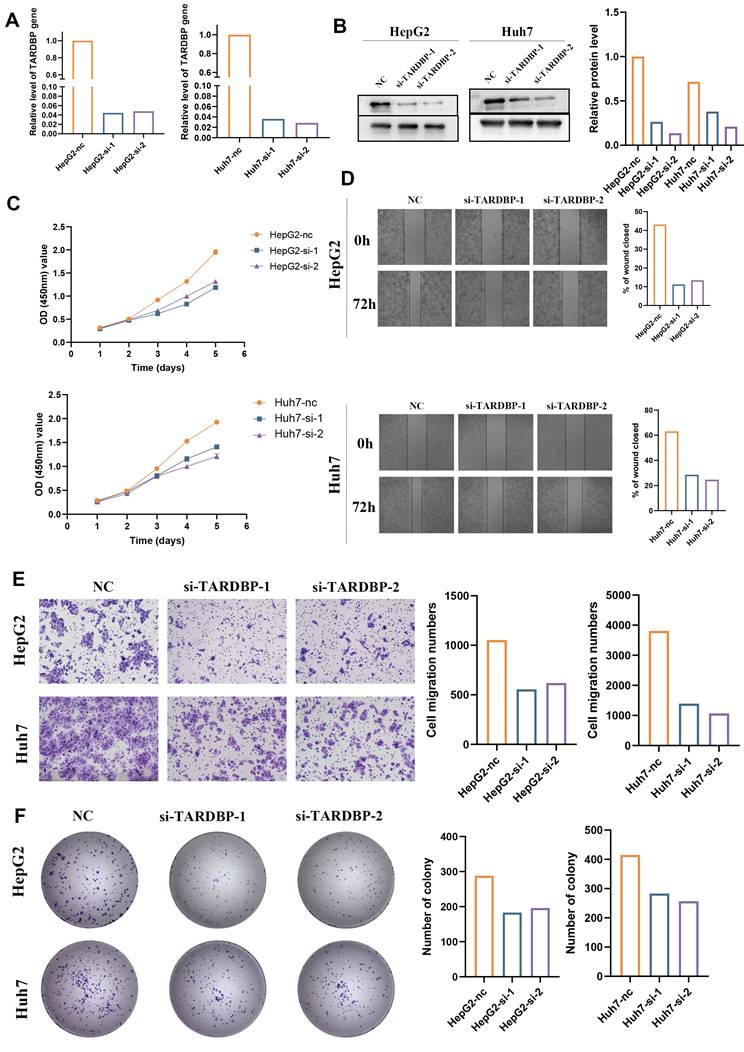 J Cancer Image