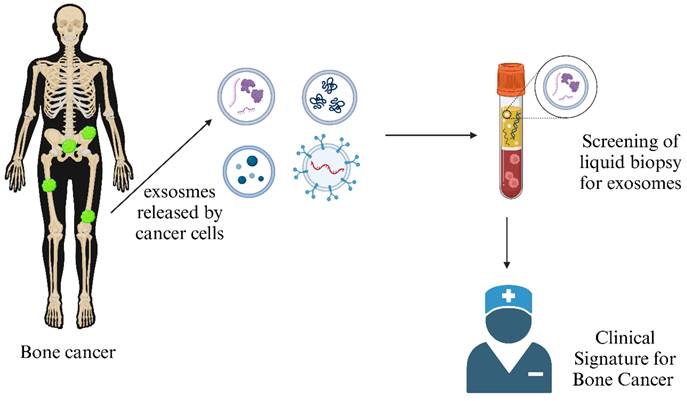 J Cancer Image