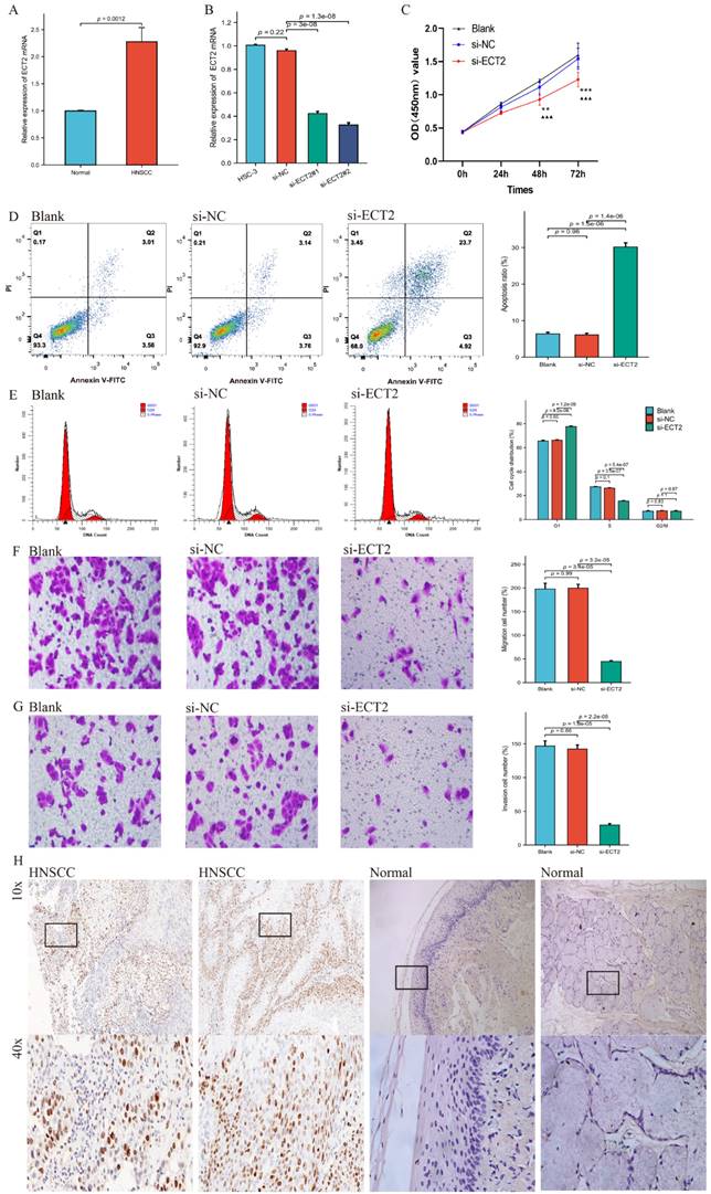 J Cancer Image