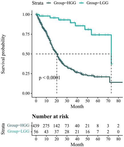 J Cancer Image