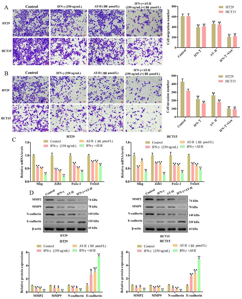 J Cancer Image