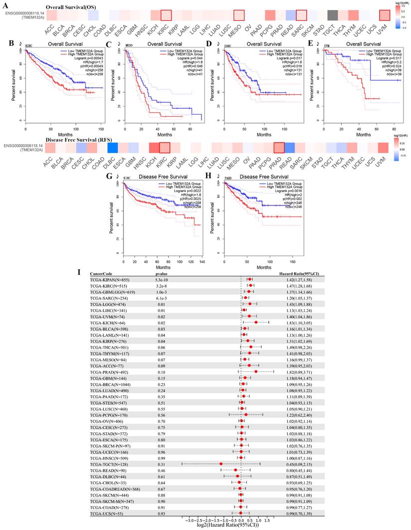 J Cancer Image