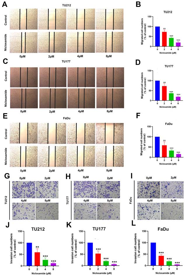 J Cancer Image