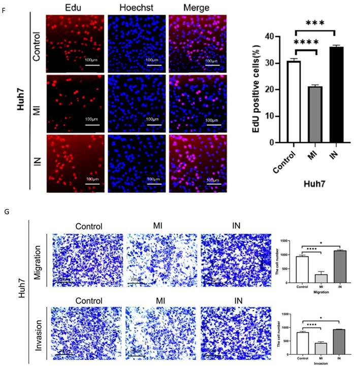 J Cancer Image