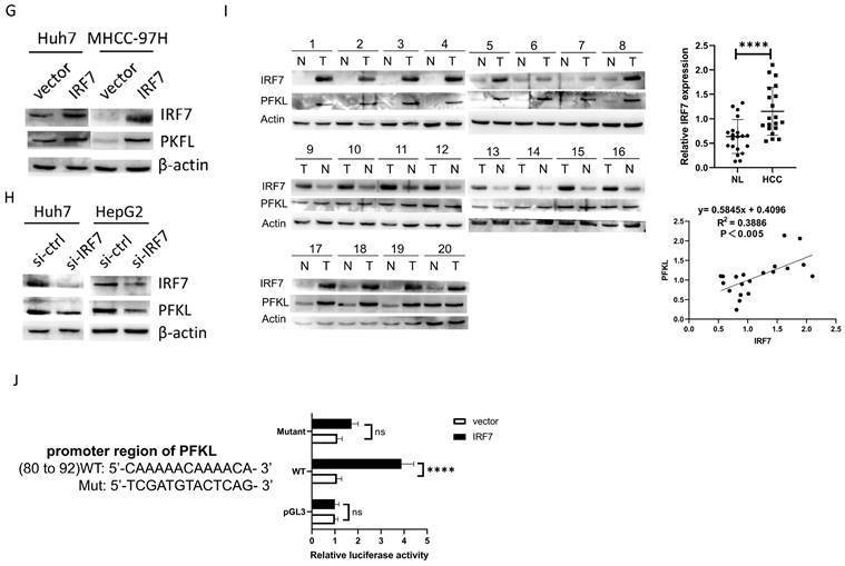 J Cancer Image
