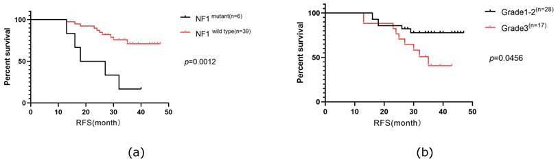 J Cancer Image