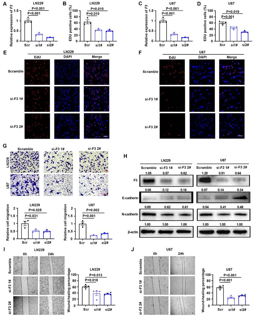 J Cancer Image