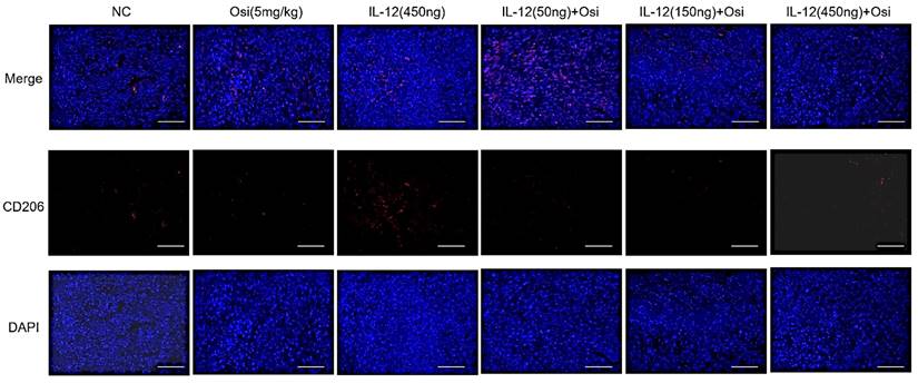 J Cancer Image