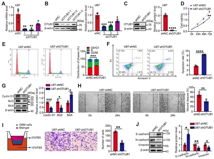 J Cancer Image