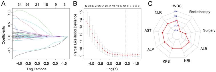 J Cancer Image