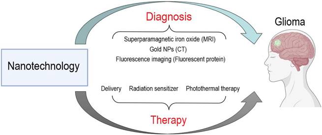 J Cancer Image