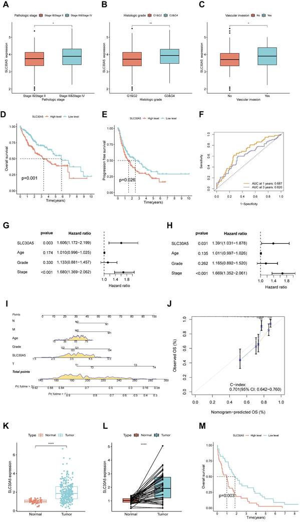 J Cancer Image