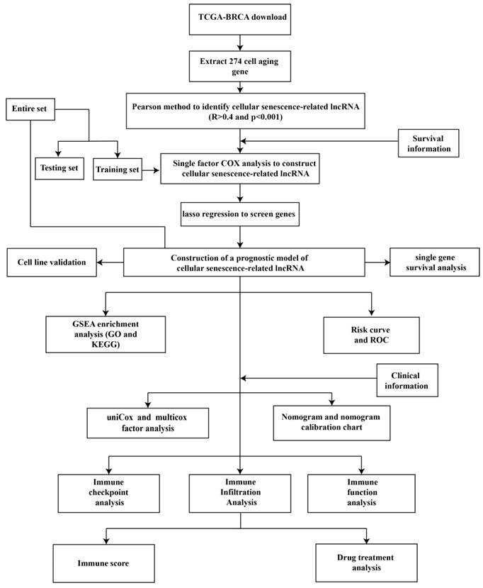 J Cancer Image
