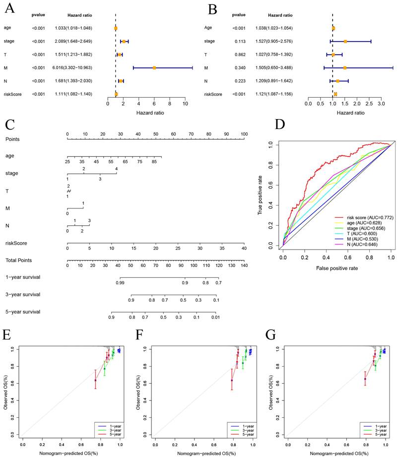 J Cancer Image