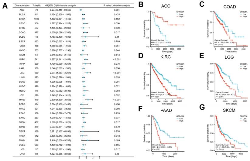 J Cancer Image