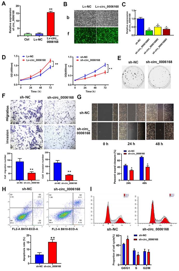 J Cancer Image