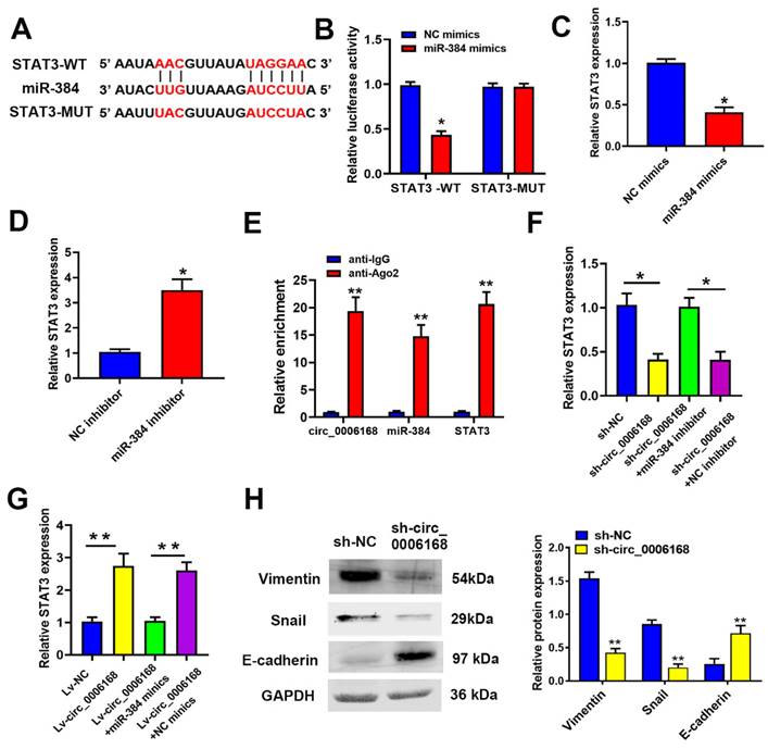 J Cancer Image