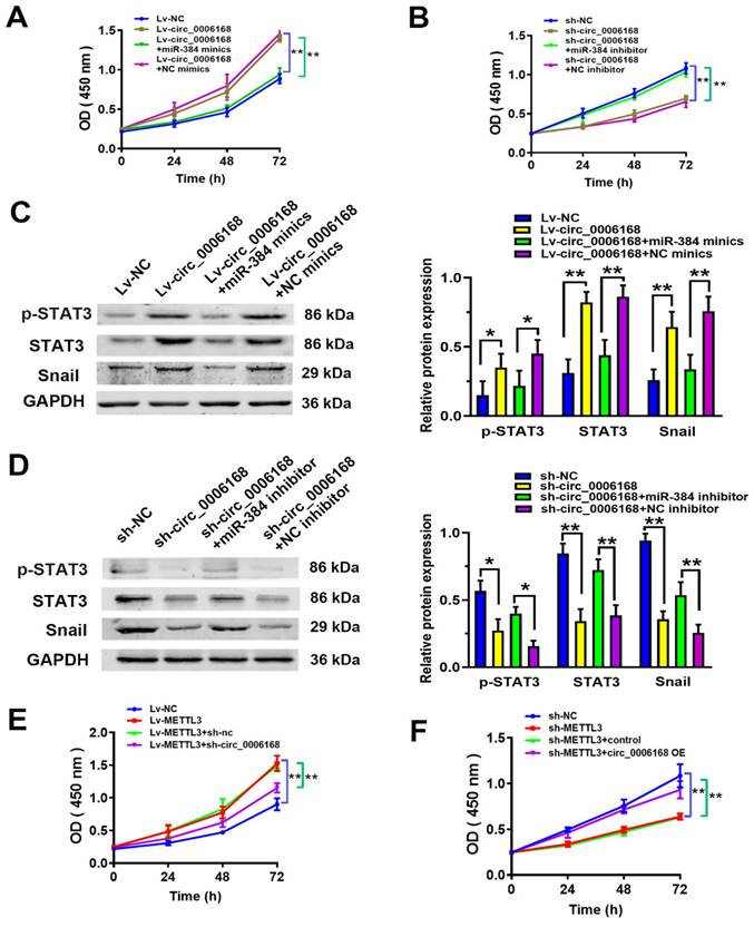 J Cancer Image
