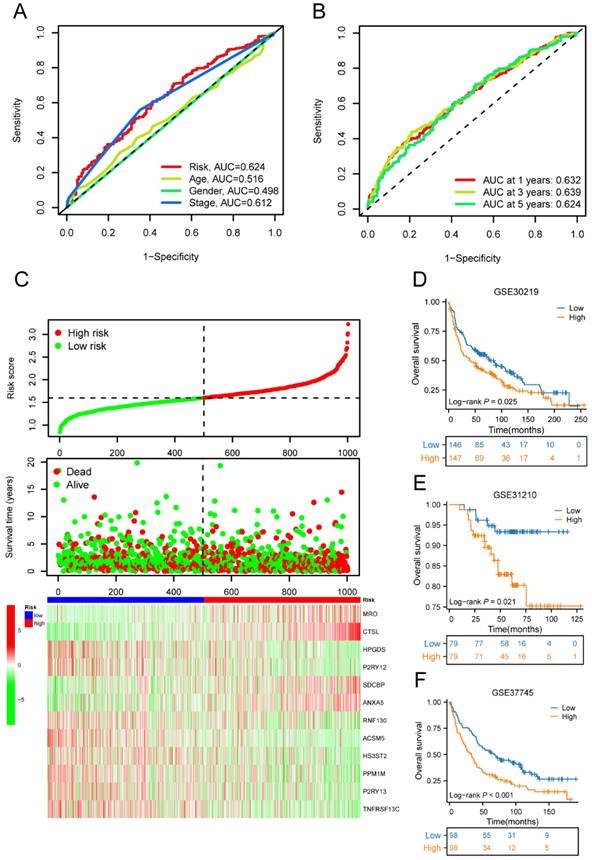 J Cancer Image